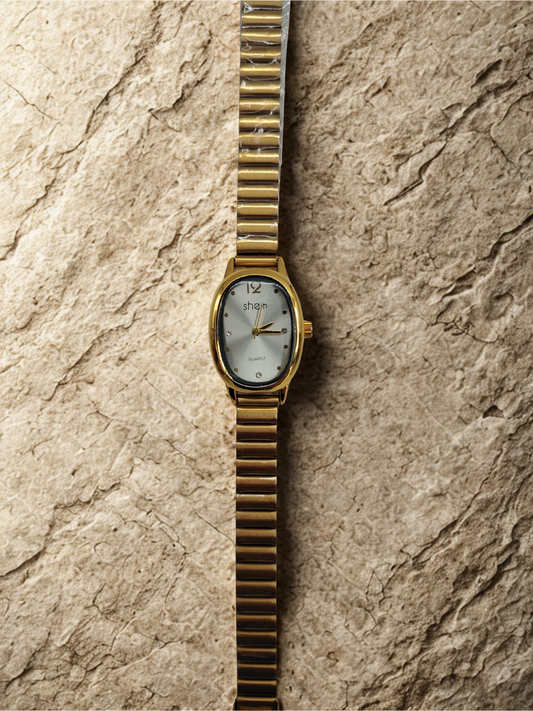 W-035 ساعة استانليس