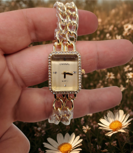 W-029 ساعة استانليس